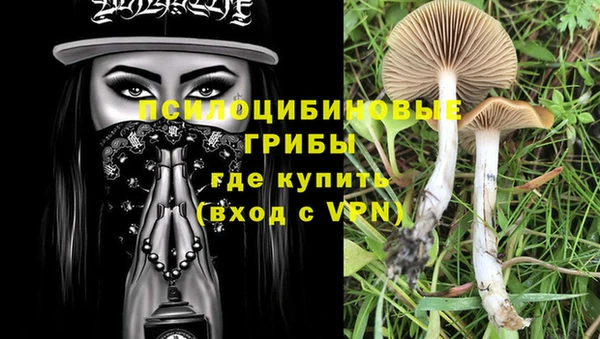 стафф Алзамай