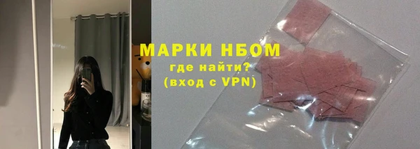 стафф Алзамай