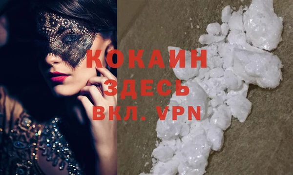 стафф Алзамай