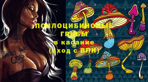 стафф Алзамай