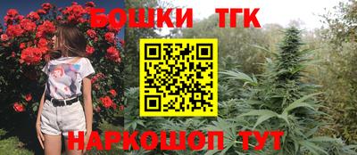 СК Гусь-Хрустальный