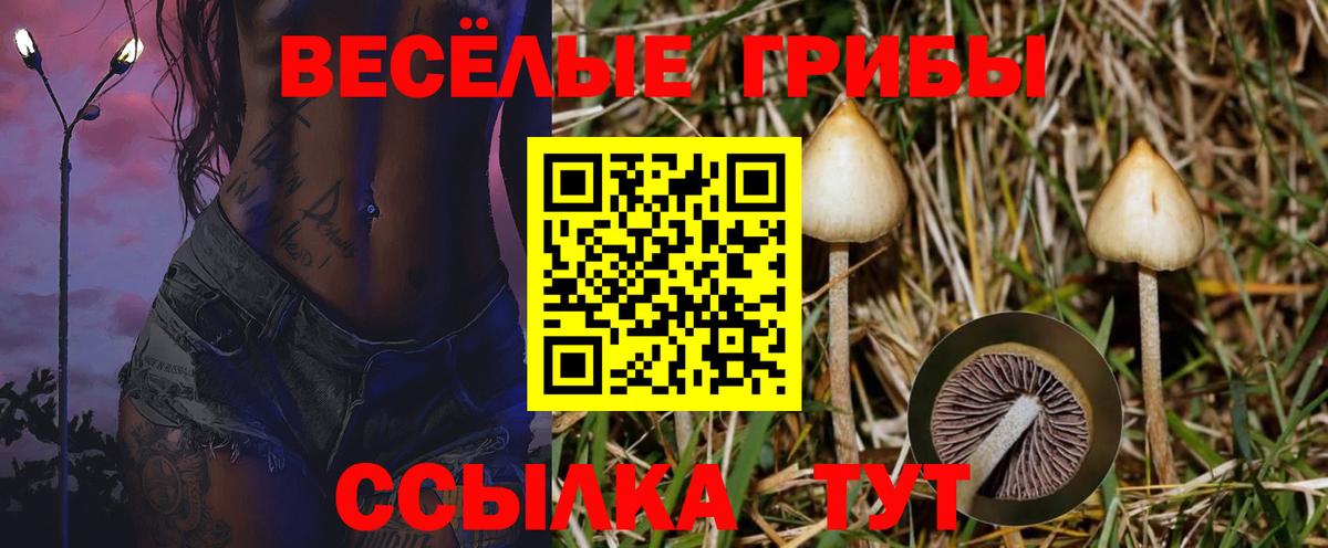 Галлюциногенные грибы мицелий Похвистнево